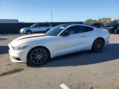 1FA6P8TH4H5335465 2017 FORD MUSTANG