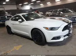 1FA6P8TH4H5338687 2017 FORD MUSTANG