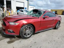 1FA6P8TH4H5344800 2017 FORD MUSTANG