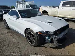 1FA6P8TH4J5163167 2018 FORD MUSTANG