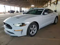 1FA6P8TH4J5176646 2018 FORD MUSTANG