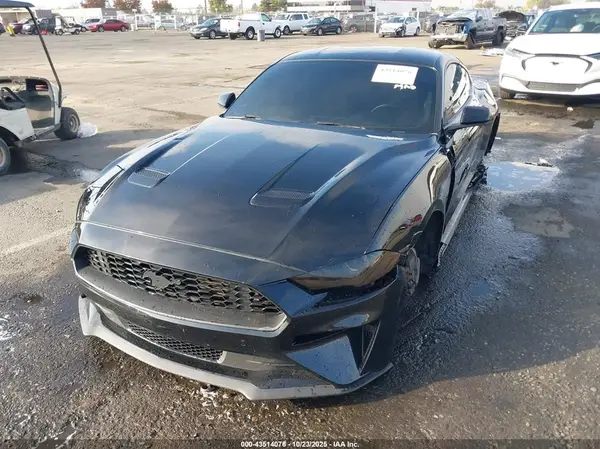 1FA6P8TH4K5106274 2019 FORD MUSTANG - Image 2