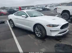 1FA6P8TH4K5119557 2019 FORD MUSTANG