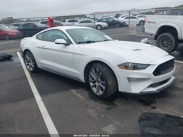1FA6P8TH4K5119557 2019 FORD MUSTANG - Image 1