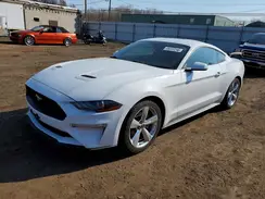 1FA6P8TH4K5124256 2019 FORD MUSTANG
