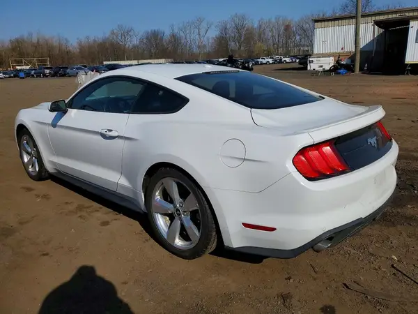 1FA6P8TH4K5124256 2019 FORD MUSTANG - Image 2
