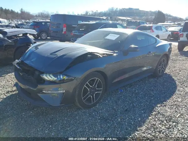 1FA6P8TH4K5125567 2019 FORD MUSTANG - Image 2