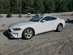 1FA6P8TH4K5132440 2019 FORD MUSTANG