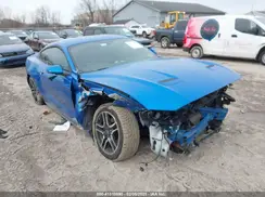 1FA6P8TH4K5132924 2019 FORD MUSTANG