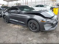 1FA6P8TH4K5135192 2019 FORD MUSTANG