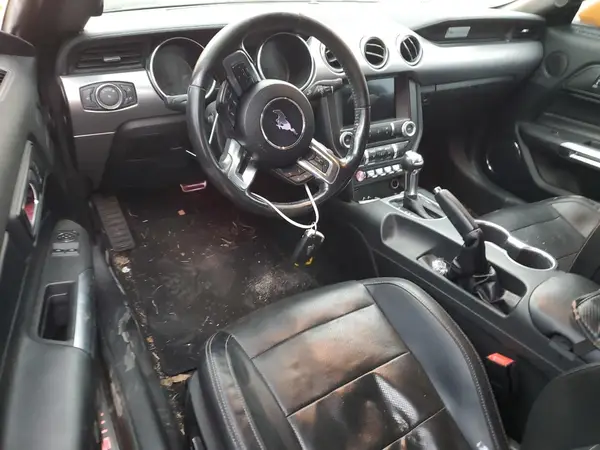 1FA6P8TH4K5138092 2019 FORD MUSTANG - Image 8