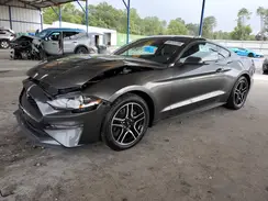 1FA6P8TH4K5141171 2019 FORD MUSTANG
