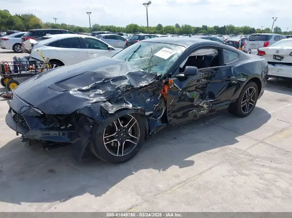 1FA6P8TH4K5146998 2019 FORD MUSTANG - Image 2