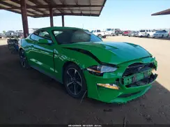 1FA6P8TH4K5148217 2019 FORD MUSTANG