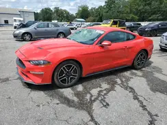 1FA6P8TH4K5151229 2019 FORD MUSTANG