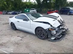 1FA6P8TH4K5151697 2019 FORD MUSTANG