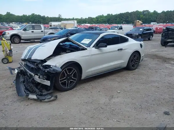 1FA6P8TH4K5151697 2019 FORD MUSTANG - Image 2