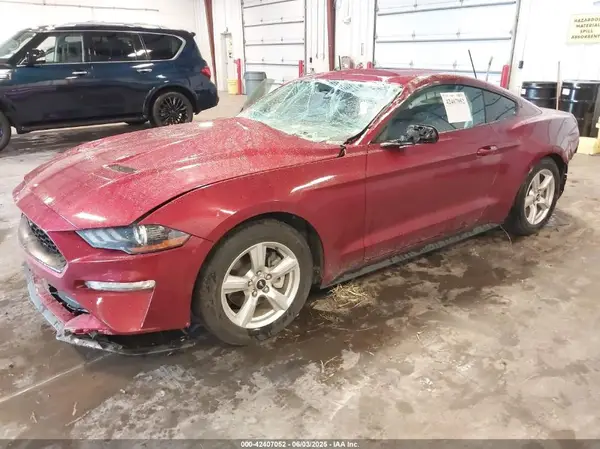 1FA6P8TH4K5153109 2019 FORD MUSTANG - Image 2