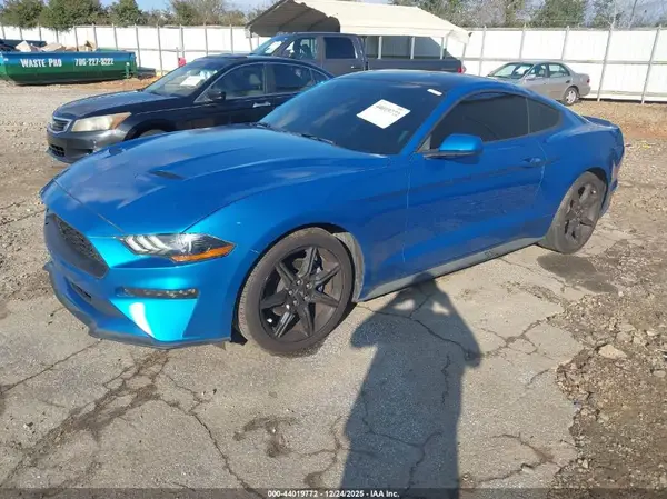 1FA6P8TH4K5157032 2019 FORD MUSTANG - Image 2