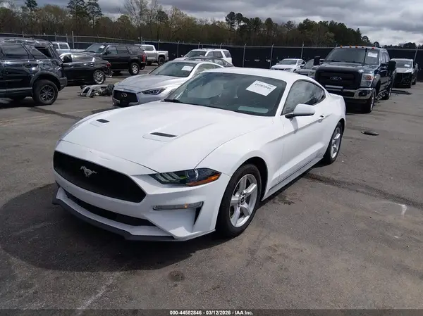 1FA6P8TH4K5163140 2019 FORD MUSTANG - Image 2