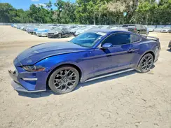 1FA6P8TH4K5167253 2019 FORD MUSTANG
