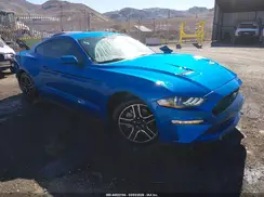 1FA6P8TH4K5169441 2019 FORD MUSTANG
