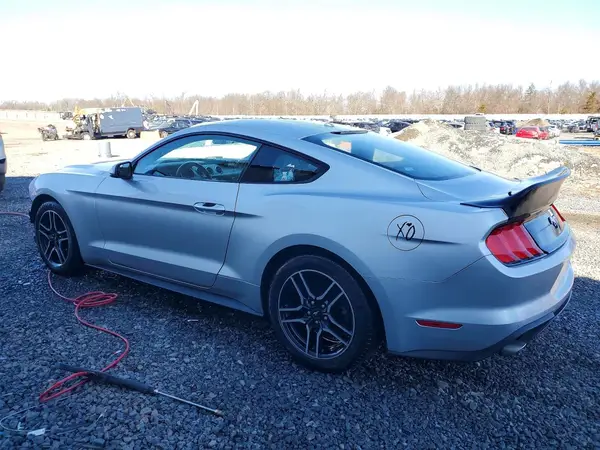 1FA6P8TH4K5172579 2019 FORD MUSTANG - Image 2
