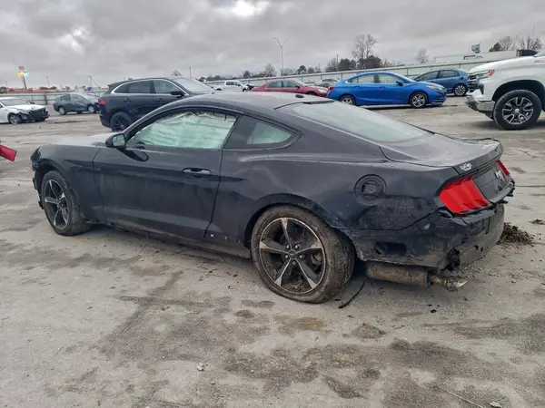 1FA6P8TH4K5173988 2019 FORD MUSTANG - Image 2