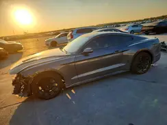 1FA6P8TH4K5176583 2019 FORD MUSTANG