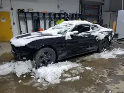 1FA6P8TH4K5182464 2019 FORD MUSTANG