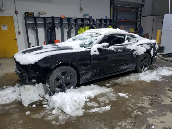 1FA6P8TH4K5182464 2019 FORD MUSTANG - Image 1