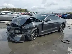 1FA6P8TH4K5186594 2019 FORD MUSTANG