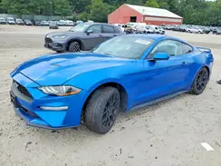 1FA6P8TH4K5194162 2019 FORD MUSTANG