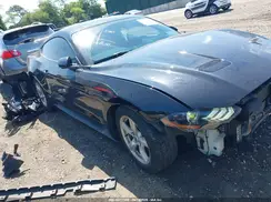 1FA6P8TH4K5195280 2019 FORD MUSTANG