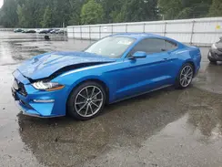 1FA6P8TH4K5195876 2019 FORD MUSTANG