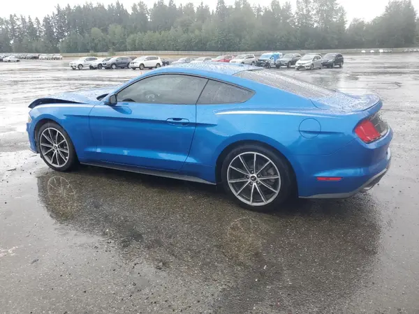 1FA6P8TH4K5195876 2019 FORD MUSTANG - Image 2