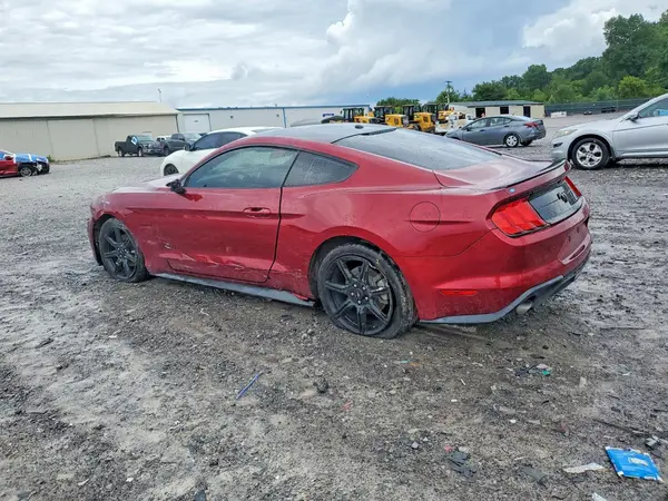 1FA6P8TH4K5196610 2019 FORD MUSTANG - Image 2
