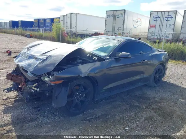 1FA6P8TH4K5196879 2019 FORD MUSTANG - Image 2