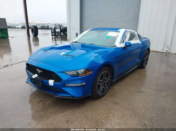 1FA6P8TH4K5201515 2019 FORD MUSTANG - Image 2