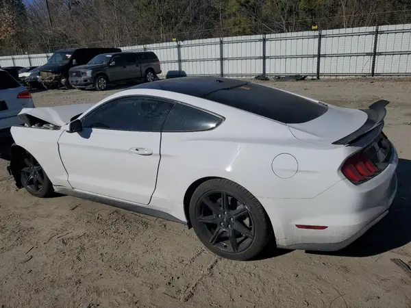 1FA6P8TH4K5203295 2019 FORD MUSTANG - Image 2