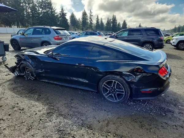 1FA6P8TH4K5203572 2019 FORD MUSTANG - Image 2