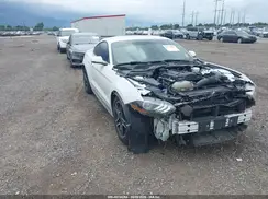 1FA6P8TH4L5120113 2020 FORD MUSTANG