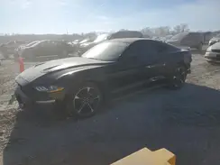 1FA6P8TH4M5100882 2021 FORD MUSTANG