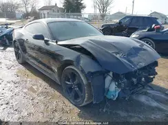 1FA6P8TH4M5117679 2021 FORD MUSTANG