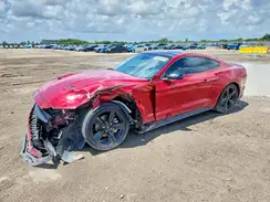 1FA6P8TH4M5128181 2021 FORD MUSTANG