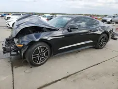 1FA6P8TH4P5100644 2023 FORD MUSTANG