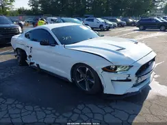 1FA6P8TH4P5100983 2023 FORD MUSTANG