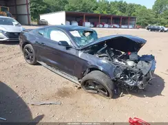 1FA6P8TH4P5101650 2023 FORD MUSTANG