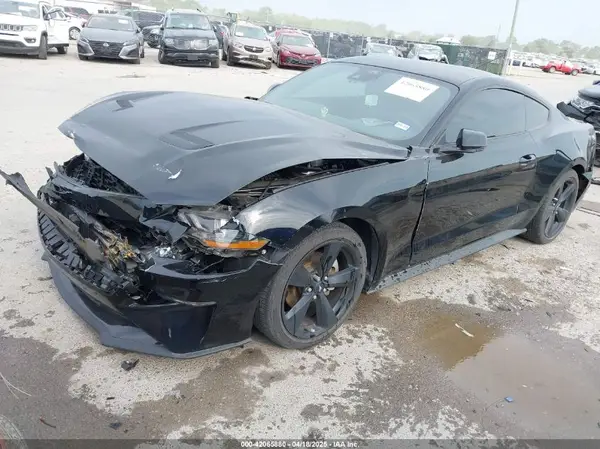 1FA6P8TH4P5112129 2023 FORD MUSTANG - Image 2