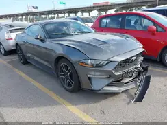 1FA6P8TH4P5112437 2023 FORD MUSTANG